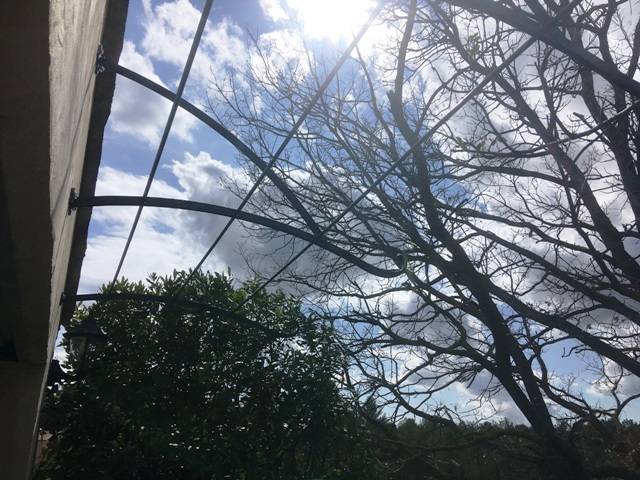 Support de rosiers à Fuveau