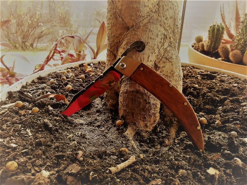 Couteau pliant avec blocage de lame, manche en acajou et mitre en Inox