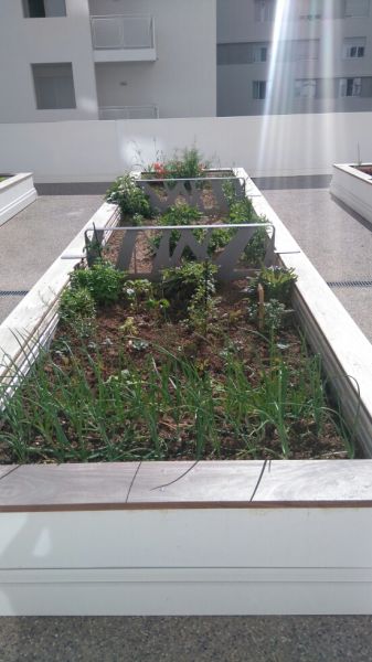 Séparatifs de jardinière fleurie.